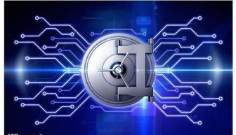 虛擬服務(wù)器 網(wǎng)絡(luò)與信息安全軟件開(kāi)發(fā)的基礎(chǔ)